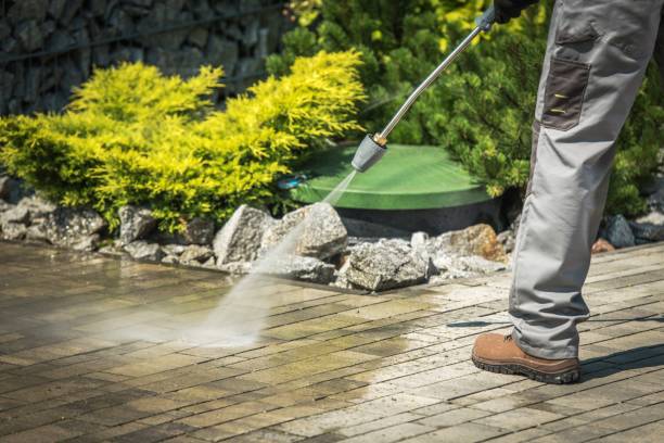 Best Sidewalk and Walkway Cleaning  in Placerville, CA