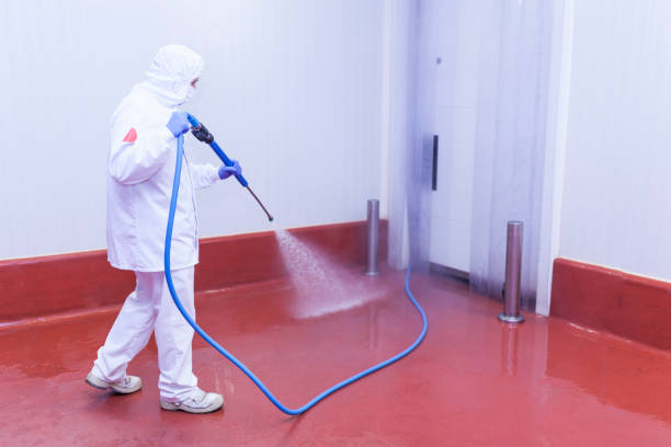 Best Driveway Pressure Washing  in Placerville, CA