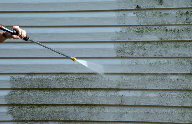 Best Roof Washing  in Placerville, CA